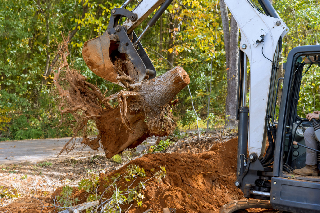 Land clearing in Laguna Beach, CA