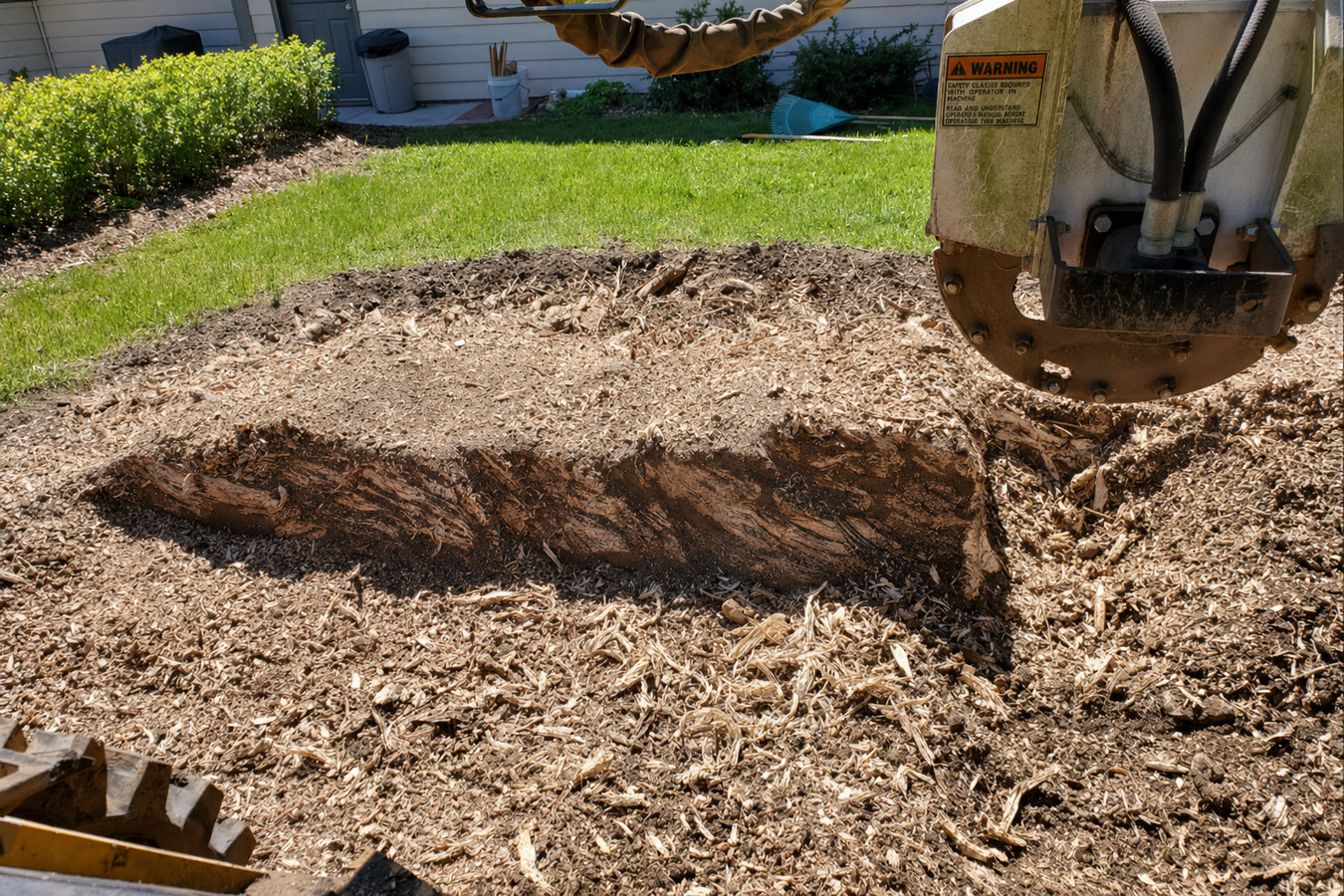 Stump grinding in Laguna Beach, CA